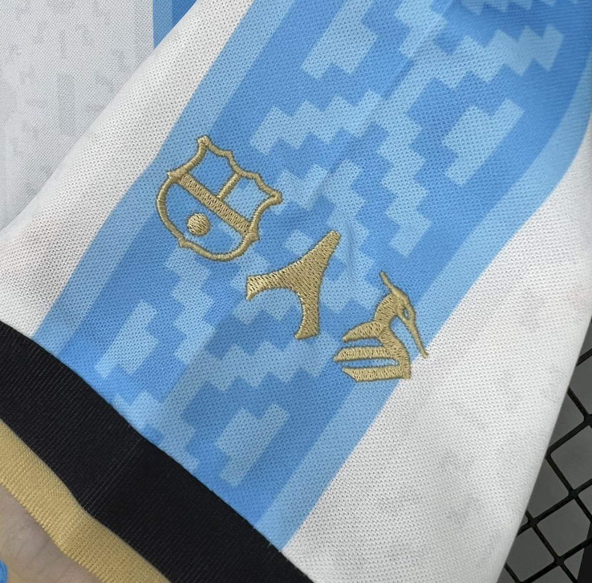 Maillot Argentine Concept 2024