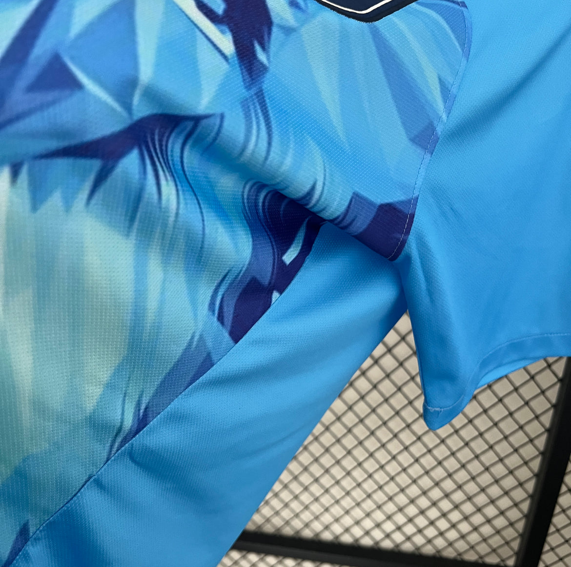 Maillot Pays-Bas Concept 2024