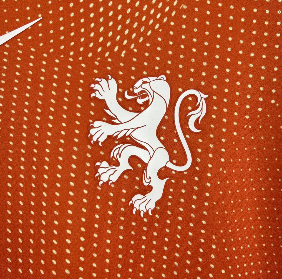 Maillot Pays-Bas Domicile 2025