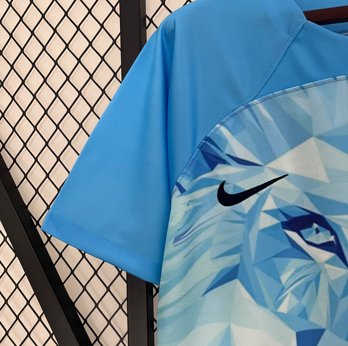 Maillot Pays-Bas Concept 2024