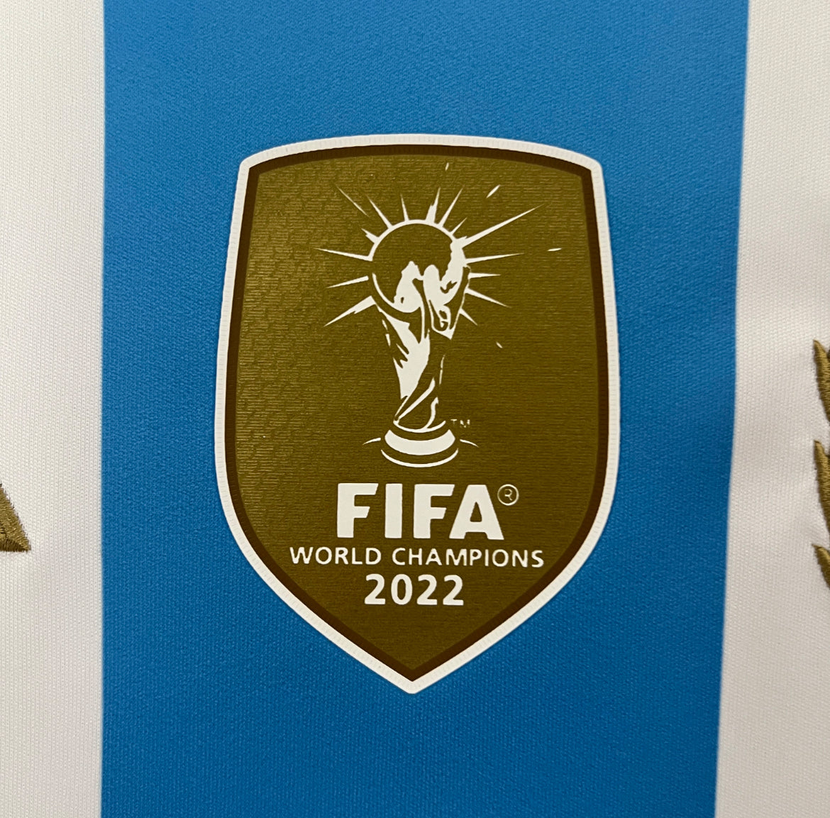 Maillot Argentine Domicile 2024-2025