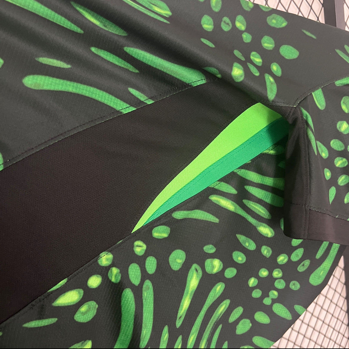 Maillot Équipe du Nigéria Domicile 2024