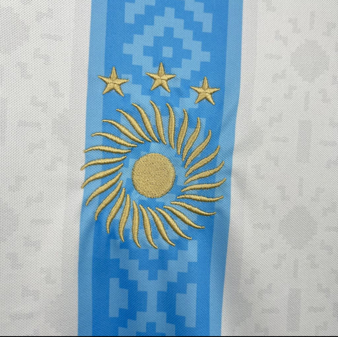 Maillot Argentine Concept 2024