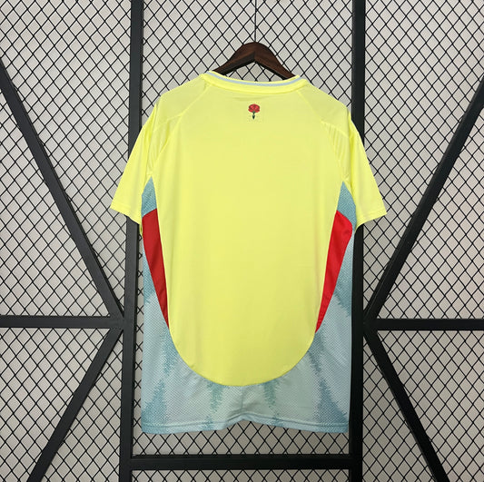 Maillot Espagne Extérieur 2024-2025