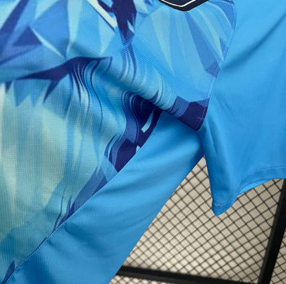 Maillot Pays-Bas Concept 2024