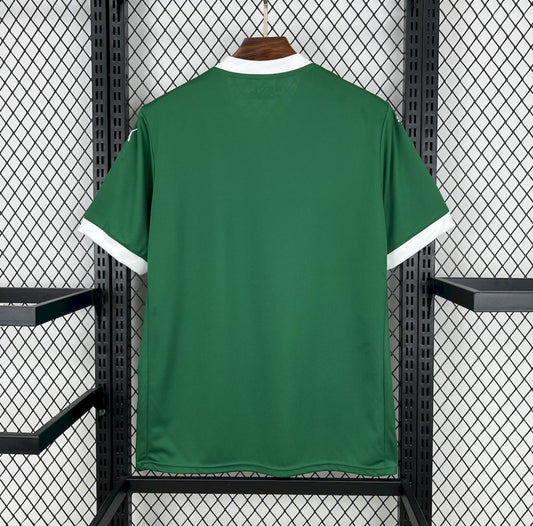 Maillot Palmeiras Domicile 2025-2026
