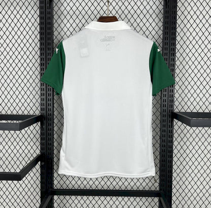Maillot Palmeiras Extérieur 2025-2026
