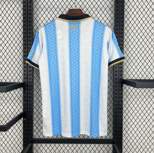 Maillot Argentine Concept 2024