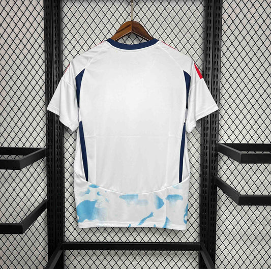 Maillot Costa Rica Extérieur 2024
