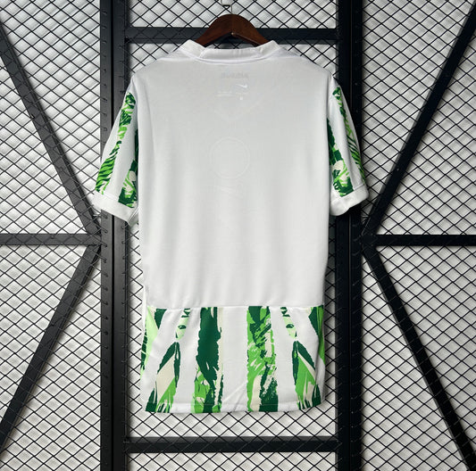 Maillot Équipe du Nigéria Extérieur 2024