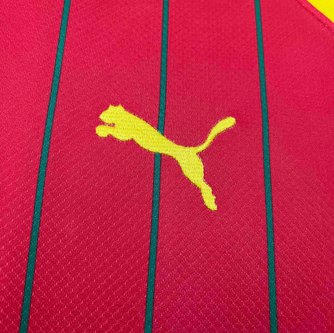 Maillot Guinée Domicile 2024