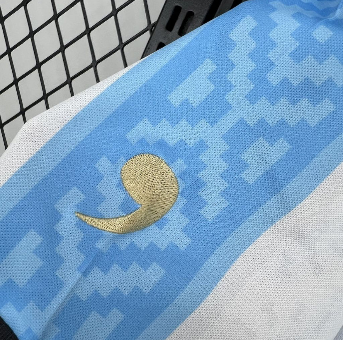 Maillot Argentine Concept 2024
