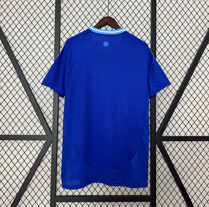 Maillot Argentine Extérieur 2024-2025